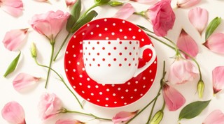 سرویس چینی 28 پارچه اسپاتی قرمز چینی زرین