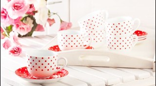 سرویس چینی 28 پارچه اسپاتی قرمز چینی زرین