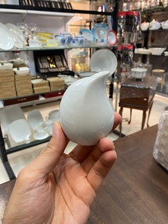 نمکپاش ارکیده چینی نسترن