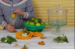 کلمن پاشاسازه مدل یک طبقه پایه بلور